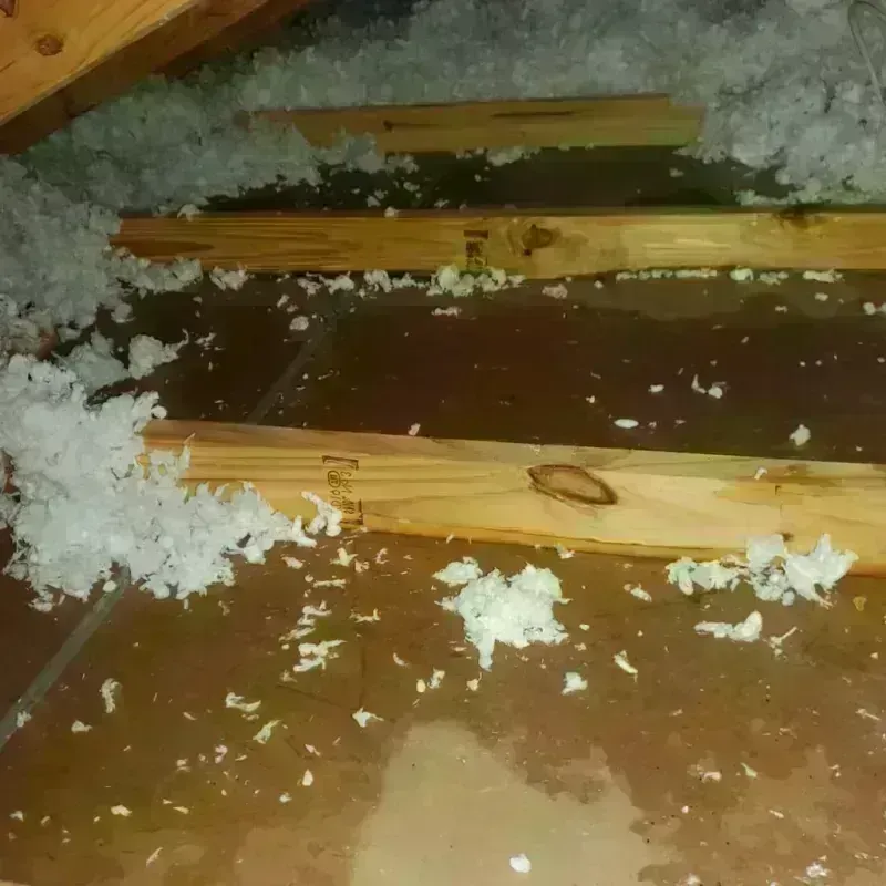 Attic Water Damage in Sayre, OK