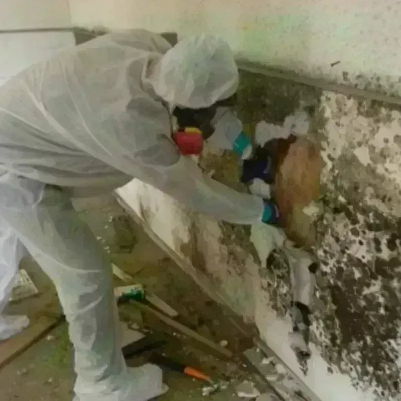 Mold Remediation and Removal in Sayre, OK